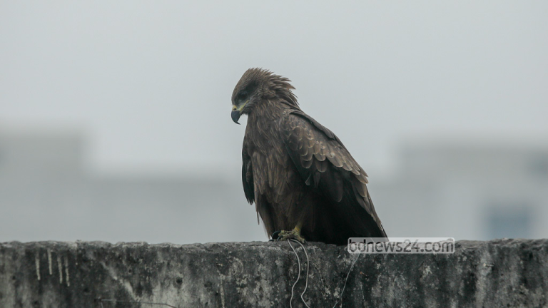 শৈত্যপ্রবাহ নেই, তাহলে এত শীত কেন?